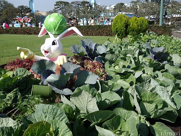【TDL】イースター2015のフォトロケに本物の野菜畑が登場！