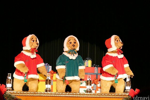 可愛すぎるザ・サンボンネッツ!もふもふ!超もふもふ!オシャレやおしゃべりが大好きな3匹は本当に可愛い女の子たちです💕