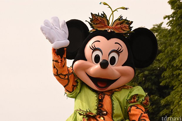 スペシャル・イベント