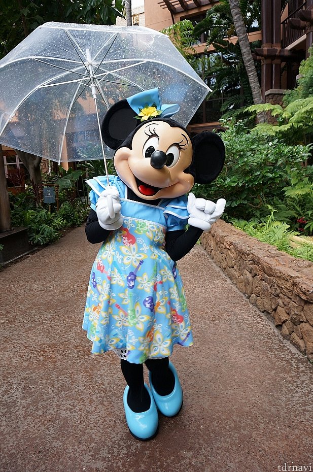 お散歩ミニーちゃん♪出てきたと思ったら雨が強くなってきたからかすぐ帰ろうとしてました。1枚だけですが撮ることに成功☆