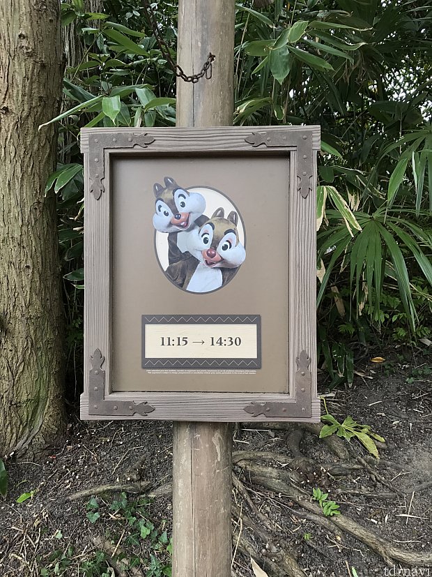 11:15から開始されている奥地のグリーティング場所には看板がありました。