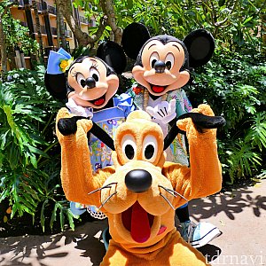 キャラクター・グリーティング
