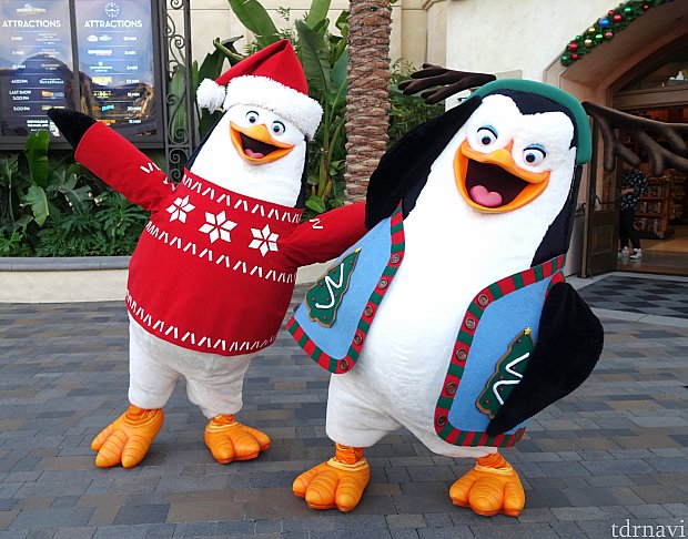 ザ・ペンギンズのファンなのでクリスマス衣装には興奮しました！待ち時間なし！