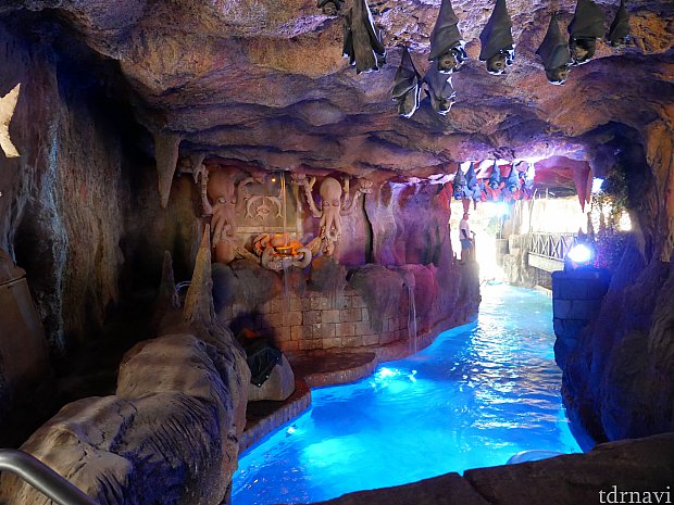 流れるプールでは洞窟や水槽の下を通過することも！