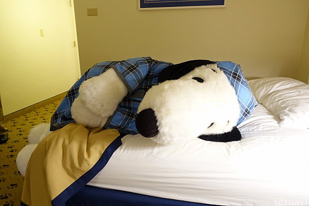 夜にはパジャマ・スヌーピーが遊びにきてくれます！急にベッドに横たわったり(笑)
