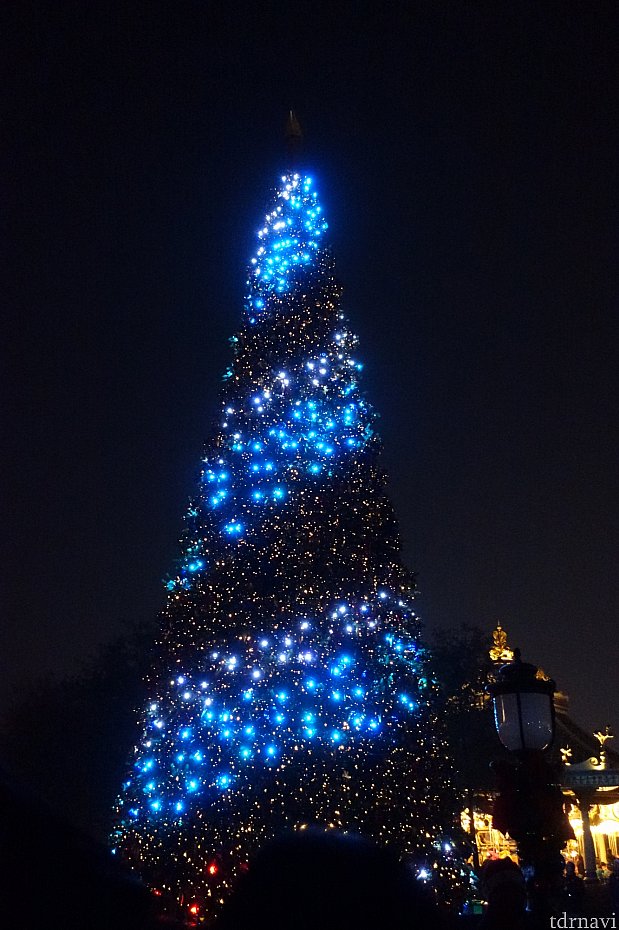 その後、みんなでカウントダウンすると、クリスマスツリーが目まぐるしく光ります。