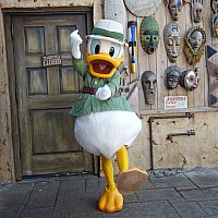 Wdw公式アプリ My Disney Experience のインストール手順 22