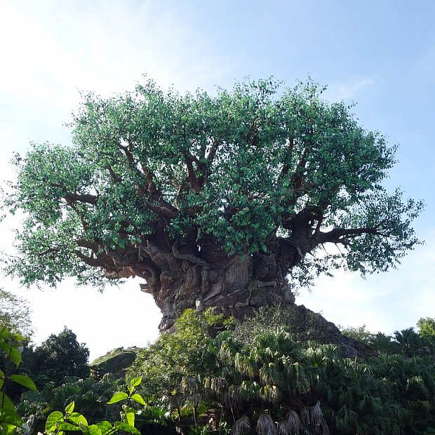 アニマルキングダムのおすすめガイド 2025 | ウォルト・ディズニー