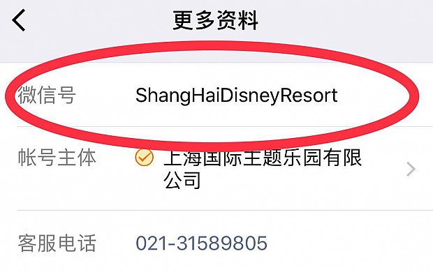 上海ディズニーリゾートの公式アカウントが探せない場合は赤丸のアカウントで検索してみてください。
(C) Disney