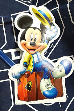 ディズニーリゾートバケーションパッケージフリードリンク券 バケパ特典バケーションパッケージフリードリンク券制覇バケパ