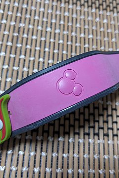 アウラニ（ハワイ）のサービス特集 2025