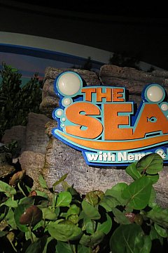 巨大水槽の中を走るアトラクション シー ウィズ ニモ フレンズ フロリダ