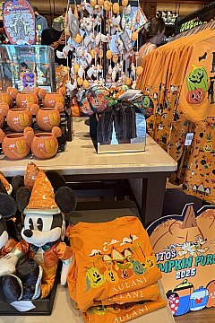 アウラニディズニー　グッズ　非売品あり！ アウラニディズニー グッズ 非売品あり！ 2023年グッズ（アウラニ）