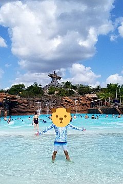 WDW】タイフーン・ラグーンのアトラクション ランキング 2026