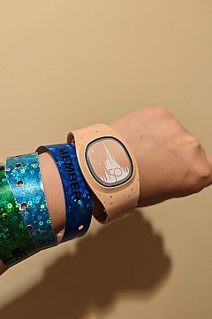 アウラニ（ハワイ）のサービス特集 2025