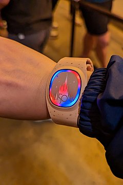 70周年限定アクティビティも！】マジックバンド+を初めて利用