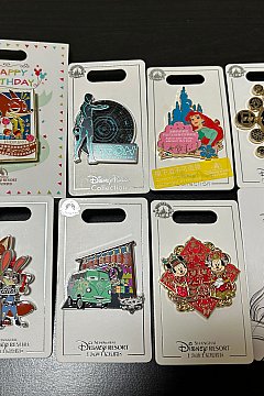 ピントレ】公式ピントレバッグ（小）を購入しました