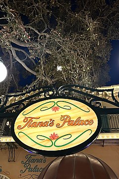 ティアナ'sパレスに行ってきました！（カリフォルニア）