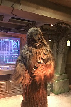 チューバッカとおしゃべりを楽しもう♪ スター・ウォーズ
