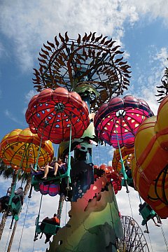 ジャンピン・ジェリーフィッシュのクチコミ・旅行記一覧