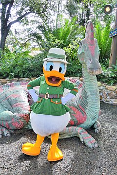 WDW】キャラクター・グリーティングのクチコミ・旅行記一覧 | アニマル