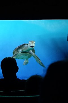 ドリーやハイドロホンの説明も出てきません | タートル・トーク