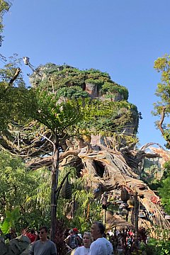 WDW】アバター・フライト・オブ・パッセージのクチコミ・旅行記