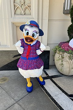 ブエナミッキー、ミニーが時間になっても現れなかった | キャラクター