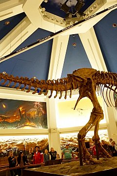 最後のシーンがけっこう怖かったです‼︎ | ダイナソー（フロリダ）