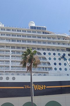 Wish たのし ぅぃっしゅ【客室】 ディズニー・ウィッシュ号