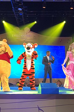 香港ディズニーランドの年間イベント特集 21