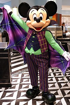 WDW】ハリウッドスタジオのレストラン ランキング 2026
