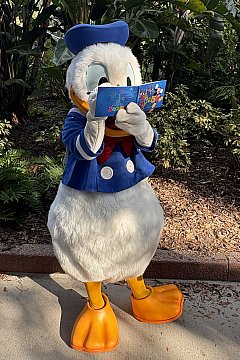 WDW キャラクターダイニング一覧と予約方法