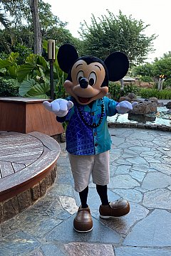 予約できるレストラン In アウラニ ハワイ