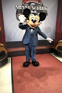 ファンタズミック!ディナーパッケージでキャラダイもショーも楽しめる