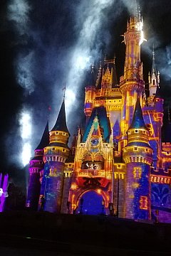 Tdl 東京ディズニーランドの人気ショー ランキング 21
