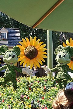 激ムズ！EPCOTフラワー&ガーデンフェスティバルで花探しイベント体験