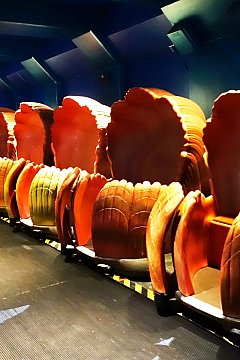 ファインディング・ニモと水族館が見事なコラボ！ シー・ウィズ・ニモ