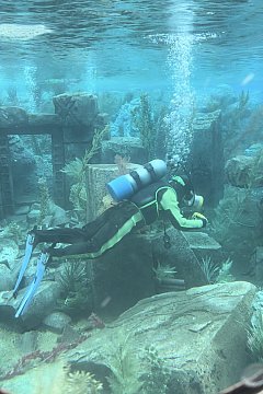 ディズニー エーゲ海に誘われて ディズニー エーゲ海に誘われて ディズニー エーゲ海に誘われて エーゲ