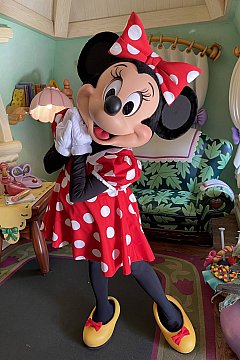 朝一に！ ミニーの家（カリフォルニア）