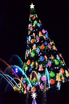 Tds カラー オブ クリスマス 14のクチコミ 旅行記一覧 東京ディズニーシー