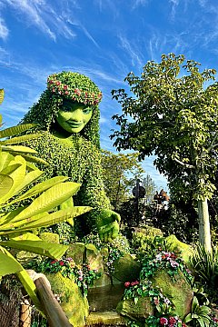 アメリカディズニー モアナ 印刷物 アメリカディズニー モアナ 印刷物 71OO3OkTwNL._UF350