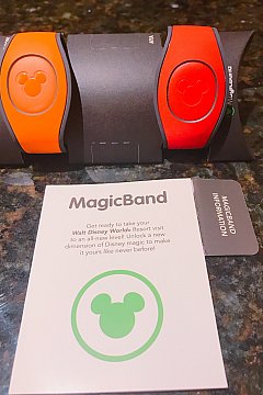 ディズニー マジックバンド 充電器付き WDW・DLR必見 ディズニーマジックバンドプラス機能徹底解説