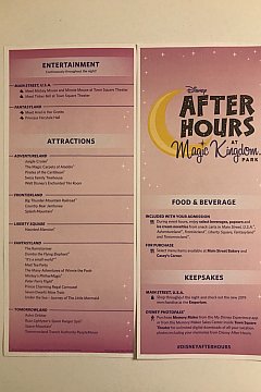 Disney After Hours ディズニー アフター アワーズ フロリダ