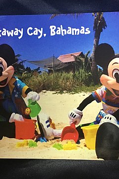 Dcl ディズニー クルーズラインのお土産 グッズ特集 22