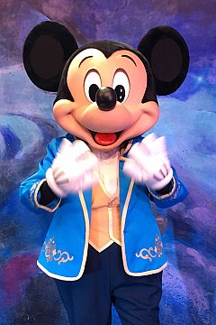 Disney - 上海ディズニーピントレバッグ収納 Disney - 上海ディズニーピントレバッグ収納の通販 by 上海
