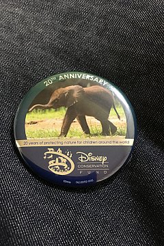 アニマルキングダム20周年記念グッズ特集（フロリダ）