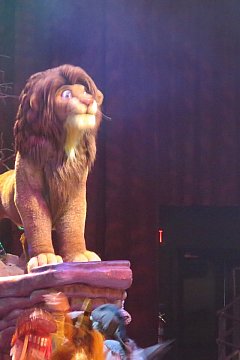 WDW】フェスティバル・オブ・ザ・ライオン・キングのクチコミ