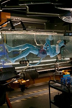 WDW】アバター・フライト・オブ・パッセージのクチコミ・旅行記
