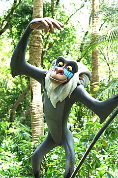 珍しいサルの展示スペース 小規模です ハビット ハビット フロリダ